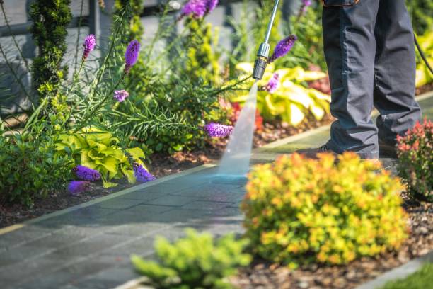 Best Gutter Cleaning  in Turley, OK